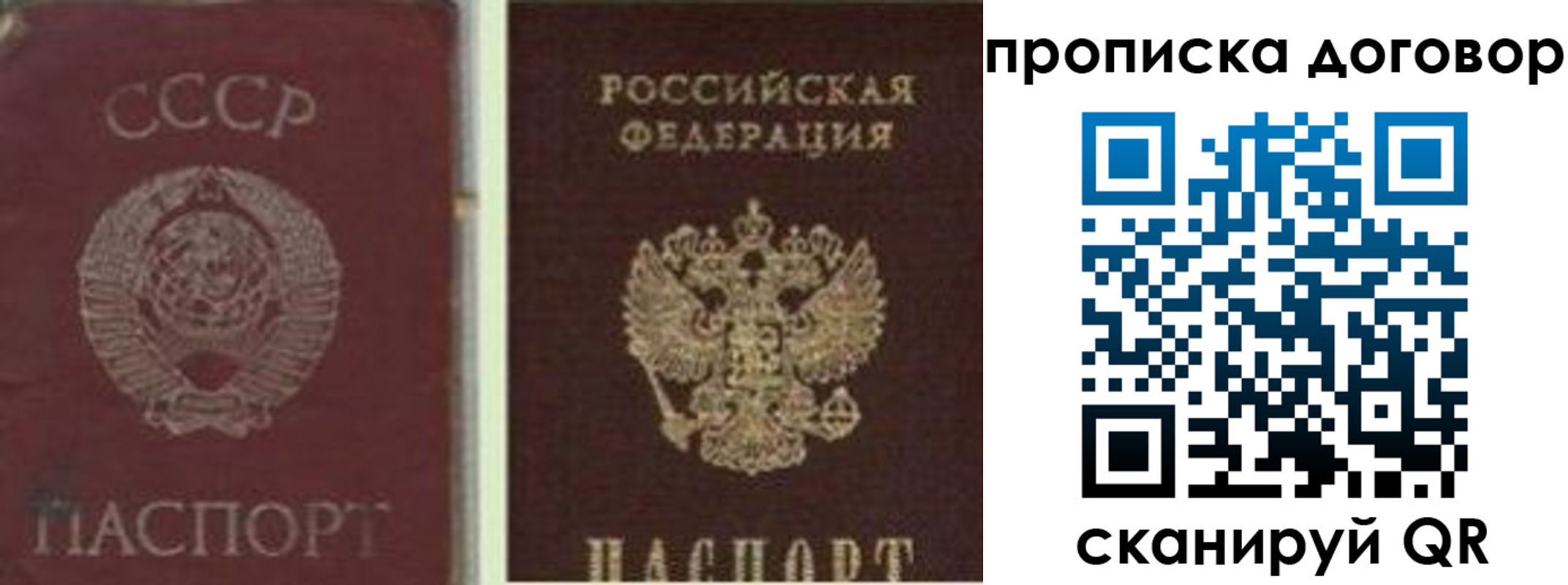 прописка гарантия в Красноярске